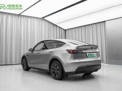 Tesla Model Y Rear-Wheel Drive - ფოტო 6