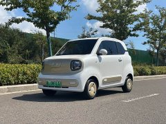 FAW Besturn Xiaoma 170km Yuanqi Ma - ფოტო 1