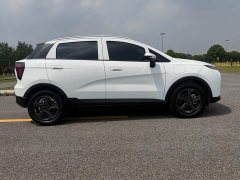 Geely Geometry E Firefly 401KM Linglong Tiger 5-Seater - ფოტო 5