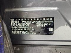 Chevrolet Changyun Xingyu Edition - ფოტო 13