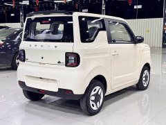 Geely Panda 2025 Panda Mini 210km Vitality Edition - ფოტო 9