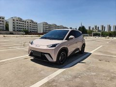 BYD Seagull Freedom Edition - ფოტო 1