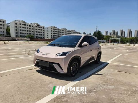 2023 BYD Seagull Freedom Edition - ავტომობილი ჩინეთიდან