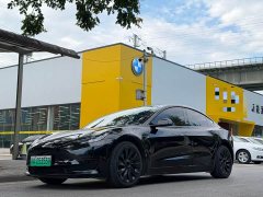 Tesla Model 3 2022 Rear-Wheel Drive - ფოტო 1