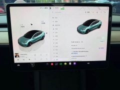 Tesla Model 3 2022 Rear-Wheel Drive - ფოტო 10