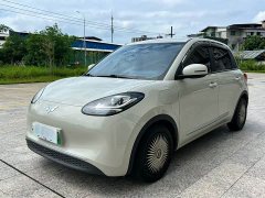 Wuling Binguo 333km Quick Enjoy Edition - ფოტო 1