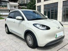 Wuling Binguo 333km Quick Enjoy Edition - ფოტო 3