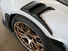 Porsche 911 GT3 RS 4.0L - ფოტო 20