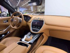 Aston Martin DBX 2022 3.0T Straight-Six - ფოტო 15