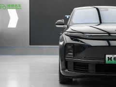 Li Auto L7 Pro - ფოტო 8