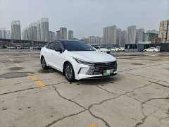 BYD Destroyer 05 Glory Edition DM-i 55KM Luxury - ფოტო 3