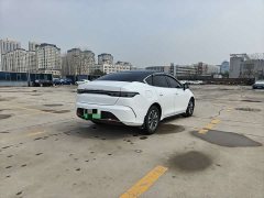 BYD Destroyer 05 Glory Edition DM-i 55KM Luxury - ფოტო 7