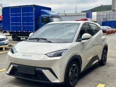 BYD Seagull 2023 Vitality Edition - ფოტო 2