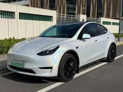 Tesla Model Y Rear-Wheel Drive - ფოტო 3