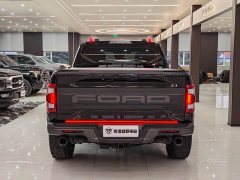 Ford F-150 Raptor 2023 3.5T Raptor - ფოტო 10