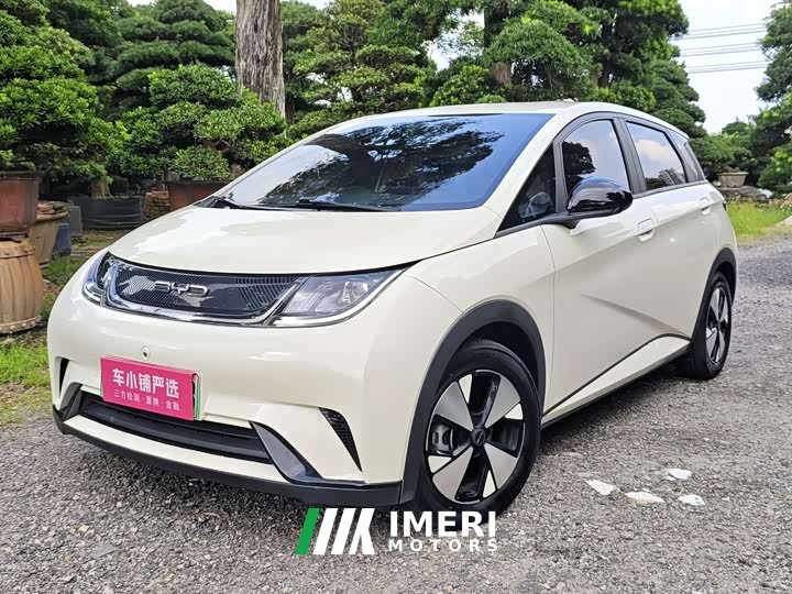 BYD Dolphin 420km Freedom Edition