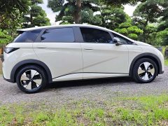 BYD Dolphin 420km Freedom Edition - ფოტო 13