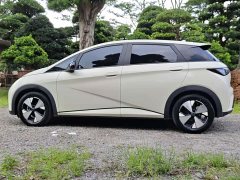 BYD Dolphin 420km Freedom Edition - ფოტო 14
