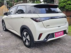 BYD Dolphin 420km Freedom Edition - ფოტო 15
