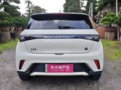 BYD Dolphin 420km Freedom Edition - ფოტო 16
