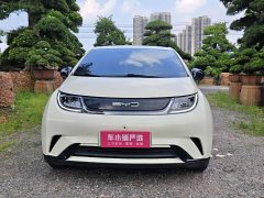 BYD Dolphin 420km Freedom Edition - ფოტო 2