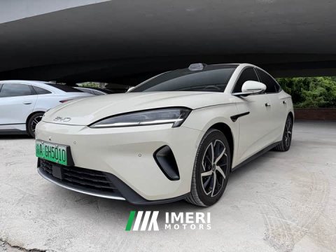 2025 BYD Dolphin 07 DM-i 2026 DM-i 1.5T 230km Flagship - ავტომობილი ჩინეთიდან