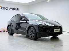 Tesla Model Y 2023 Long Range All-Wheel Drive - ფოტო 12