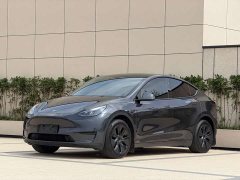 Tesla Model Y 2024 Rear-Wheel Drive - ფოტო 1