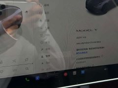 Tesla Model Y 2024 Rear-Wheel Drive - ფოტო 8
