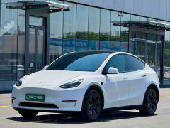 Tesla Model Y Long Range All-Wheel Drive - ფოტო 1