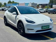 Tesla Model Y Long Range All-Wheel Drive - ფოტო 2