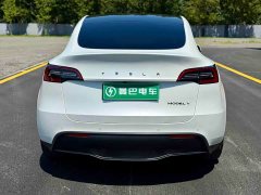 Tesla Model Y Long Range All-Wheel Drive - ფოტო 5