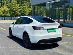 Tesla Model Y Long Range All-Wheel Drive - ფოტო 6