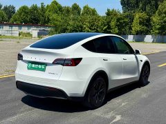 Tesla Model Y Long Range All-Wheel Drive - ფოტო 7