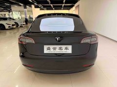 Tesla Model 3 Facelift Standard Range RWD Upgrade 3D1 - ფოტო 9