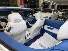 Mercedes-Benz E-Class (Imported) E 260 Cabriolet - ფოტო 11