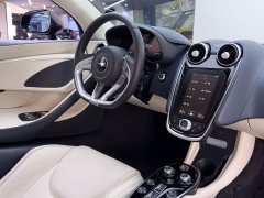 McLaren GT 4.0T Standard - ფოტო 18