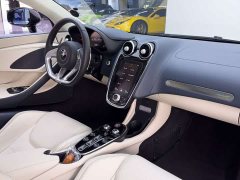 McLaren GT 4.0T Standard - ფოტო 19