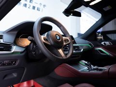 BMW X6 xDrive30i M Sport Package - ფოტო 10