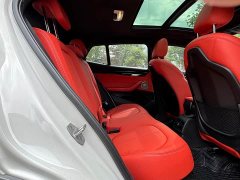 BMW X2 sDrive25i M Sport Leading Edition - ფოტო 10