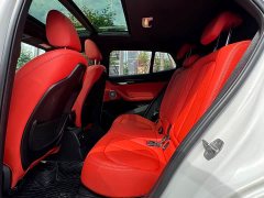 BMW X2 sDrive25i M Sport Leading Edition - ფოტო 9