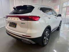 Haval H6 2023 National Trend Edition 1.5T Automatic Champion Version - ფოტო 13