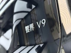 Luxeed Zhiji V9 Ultra - ფოტო 6