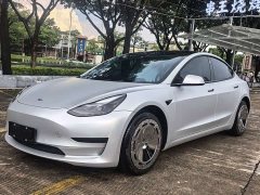 Tesla Model 3 Rear-Wheel Drive - ფოტო 1