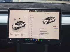 Tesla Model 3 Rear-Wheel Drive - ფოტო 14