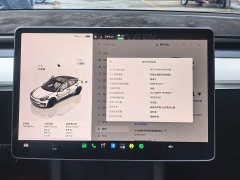 Tesla Model 3 Rear-Wheel Drive - ფოტო 15