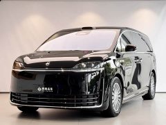 Luxeed Zhiji V9 Max - ფოტო 2