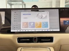Luxeed Zhiji V9 Max - ფოტო 20
