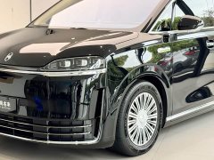 Luxeed Zhiji V9 Max - ფოტო 3