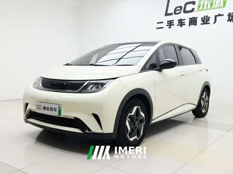 2023 BYD Dolphin 420km Fashion Edition - ავტომობილი ჩინეთიდან